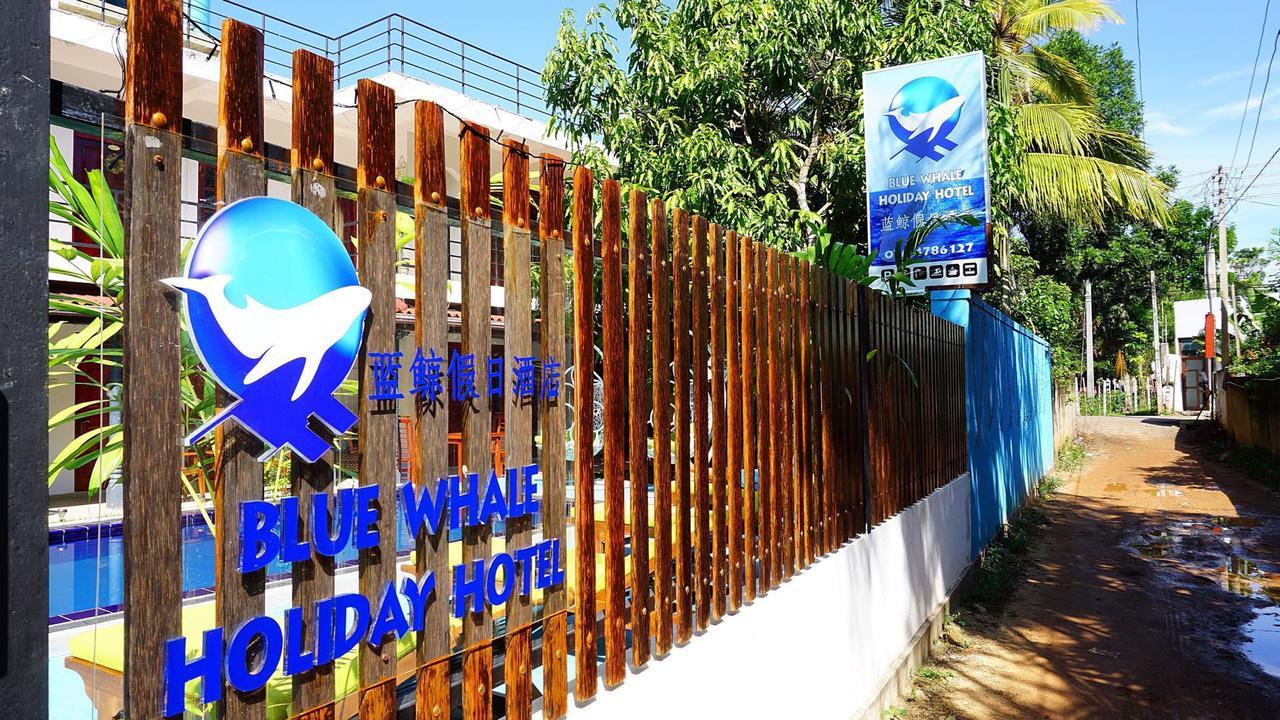 Blue Whale Holiday Hotel Мирисса Экстерьер фото